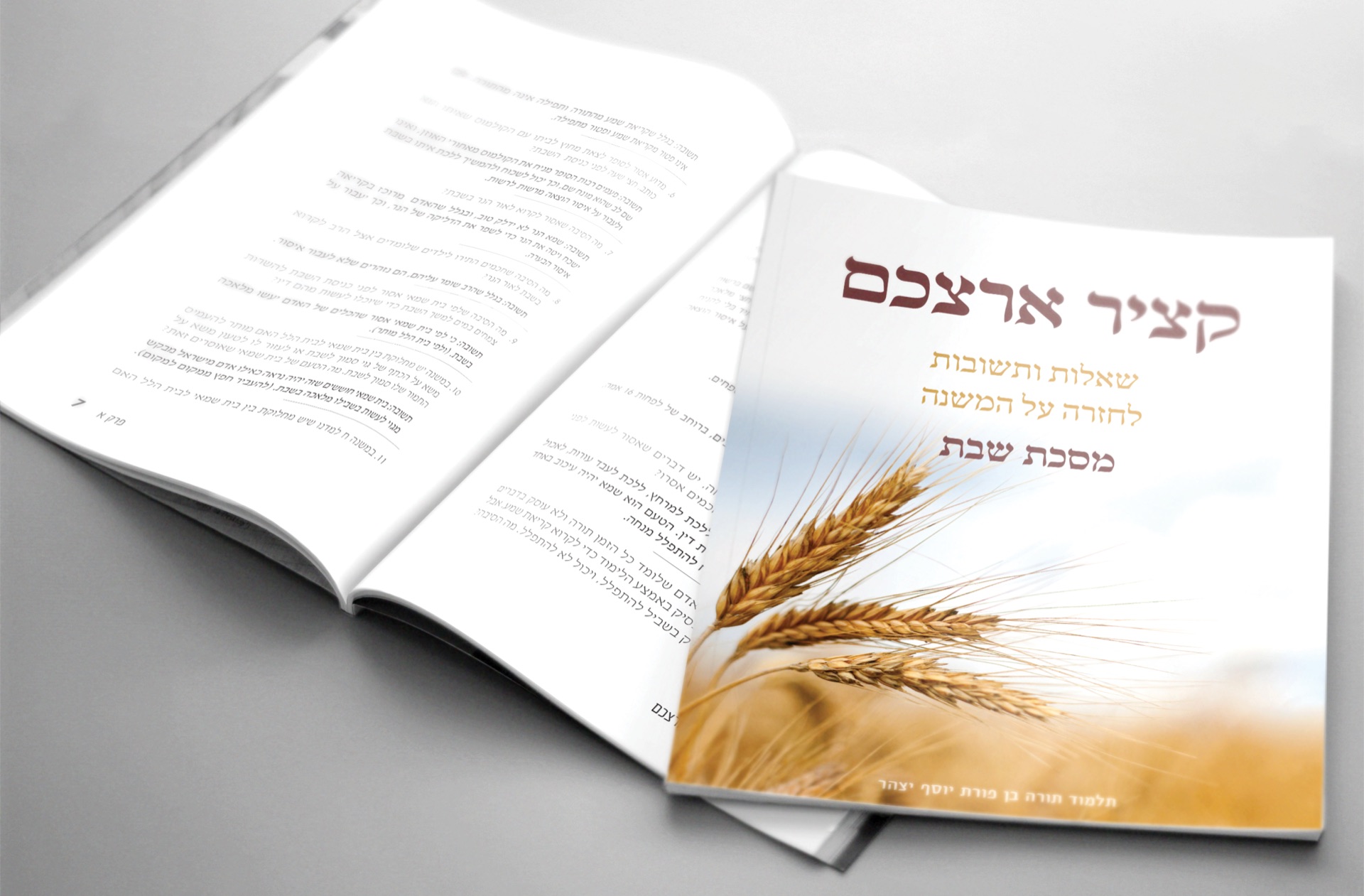 דוגמה לעיצוב ספר